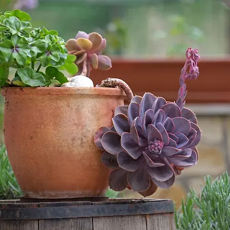 In Fazana Mit Gemeinsamem Pool Und Garten By Interhome *